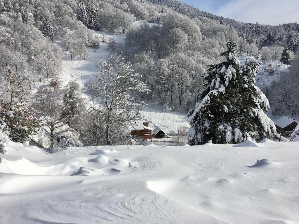 Gite De La Grande Verrerie 6 Personnes Ribeauville Exterior photo